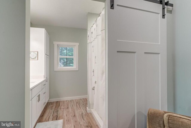 bathroom featuring vanity, wood finished floors, and baseboards