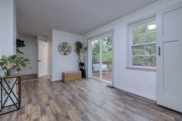 interior space featuring hardwood / wood-style floors