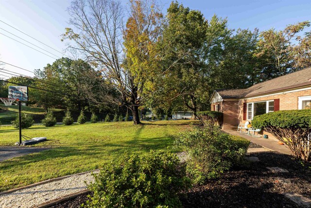 view of yard with a patio area