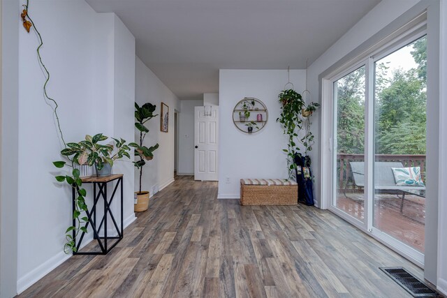 entryway featuring hardwood / wood-style flooring