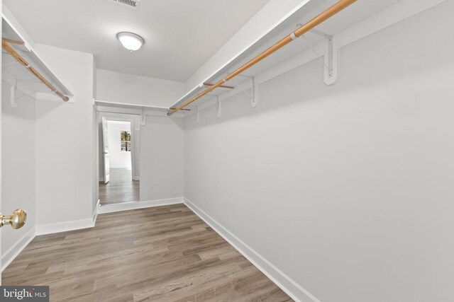 walk in closet with light wood-type flooring