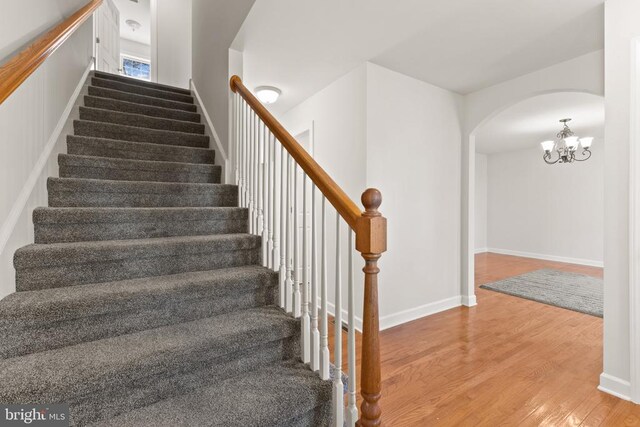 staircase with hardwood / wood-style flooring