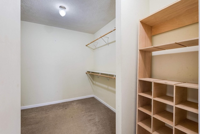 walk in closet with carpet flooring