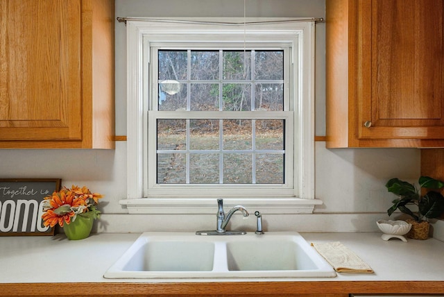 interior details with sink