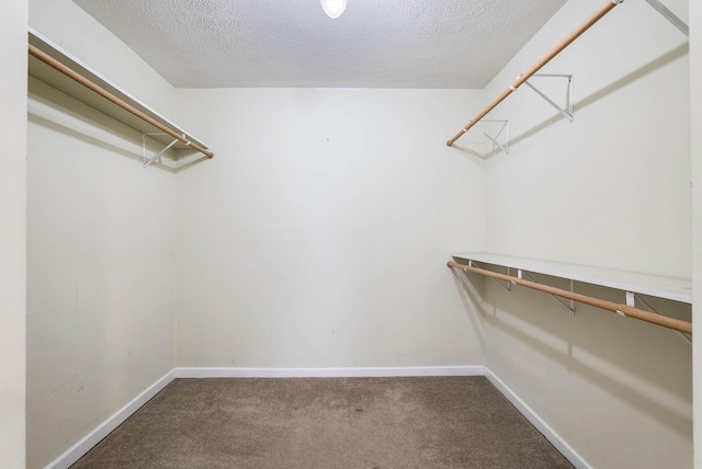 spacious closet featuring carpet floors