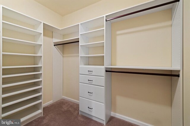 spacious closet featuring dark carpet