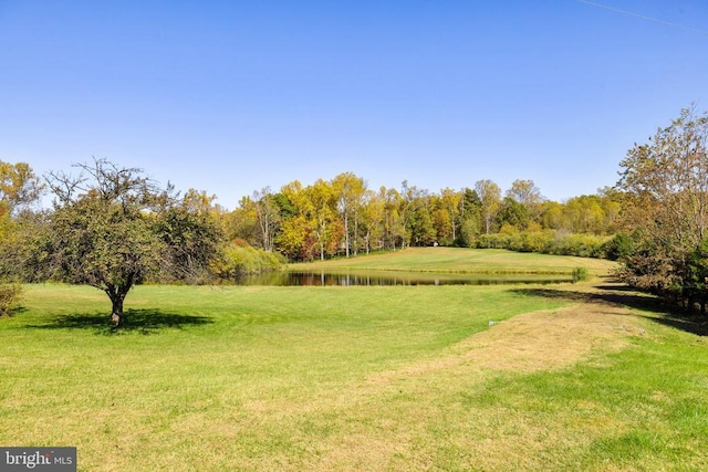 view of yard featuring a water view