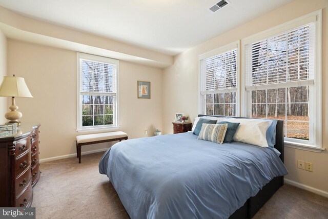 bedroom with carpet flooring