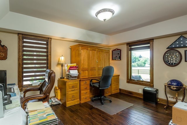 office space with dark hardwood / wood-style flooring