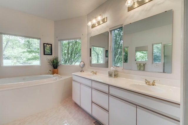 bathroom with vanity and a bathing tub