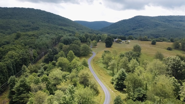 bird's eye view with a mountain view