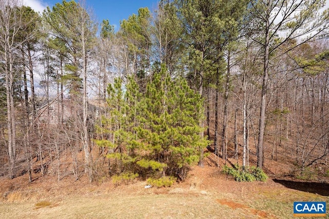 view of landscape featuring a view of trees