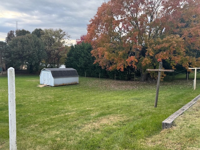 view of yard with a storage shed