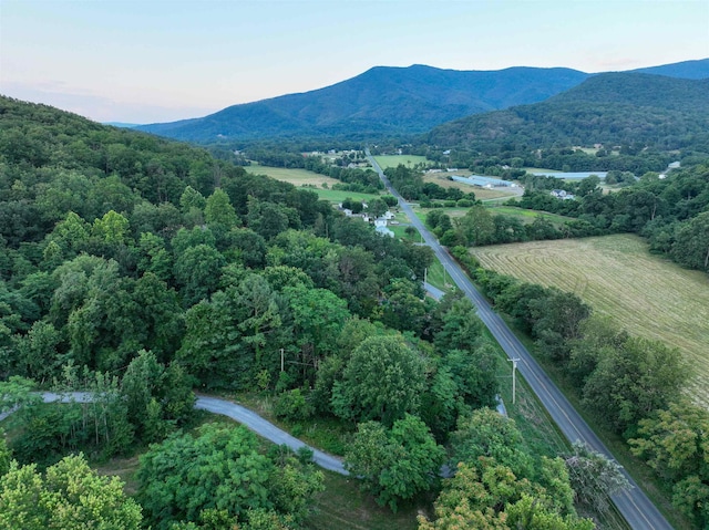 birds eye view of property featuring a mountain view