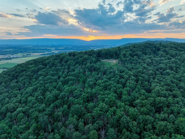 aerial view at dusk with a mountain view