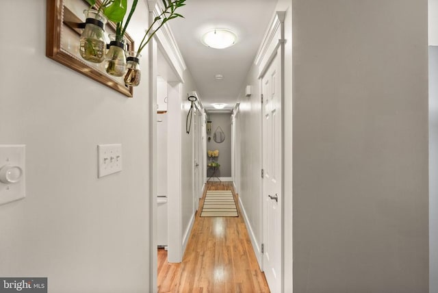 hallway with light hardwood / wood-style floors