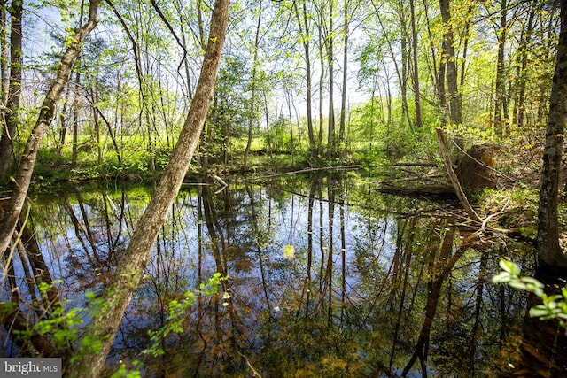 water view