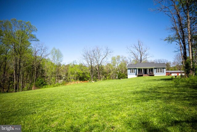 view of yard featuring a forest view