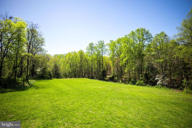 view of yard with a view of trees