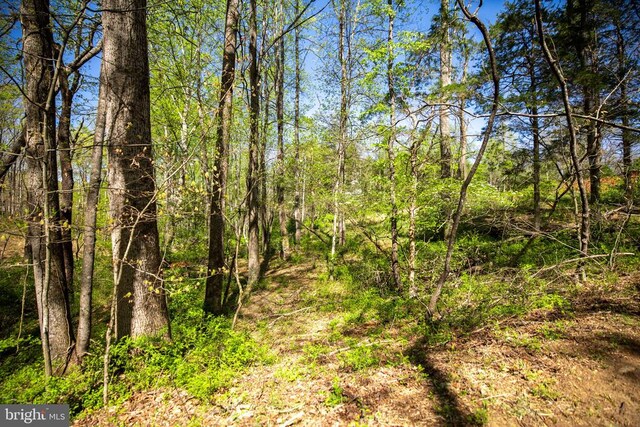 view of landscape with a view of trees