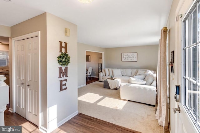 living area featuring baseboards and wood finished floors