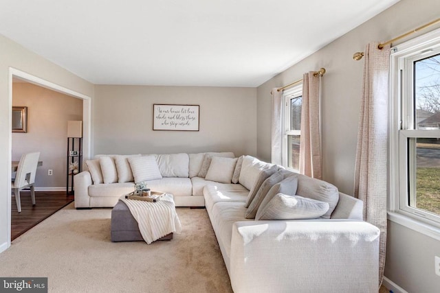 living area featuring plenty of natural light, baseboards, and carpet floors