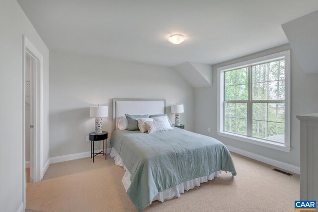 bedroom with carpet, visible vents, and baseboards