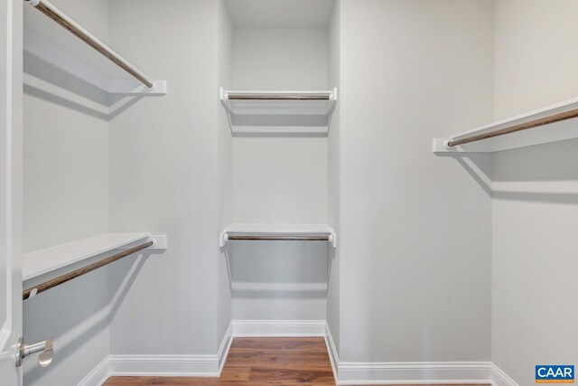 walk in closet featuring wood finished floors