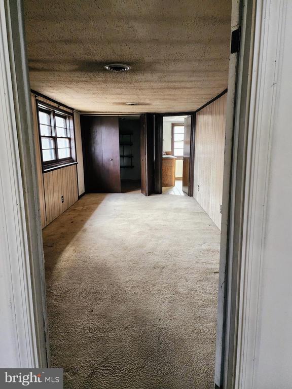 empty room featuring wooden walls, a textured ceiling, and light colored carpet