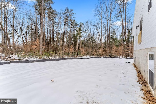 view of yard covered in snow