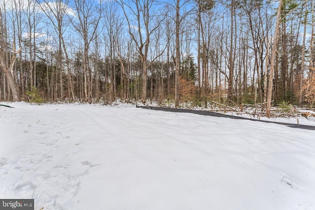 view of snowy yard