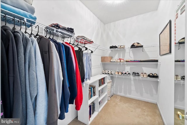 spacious closet with carpet