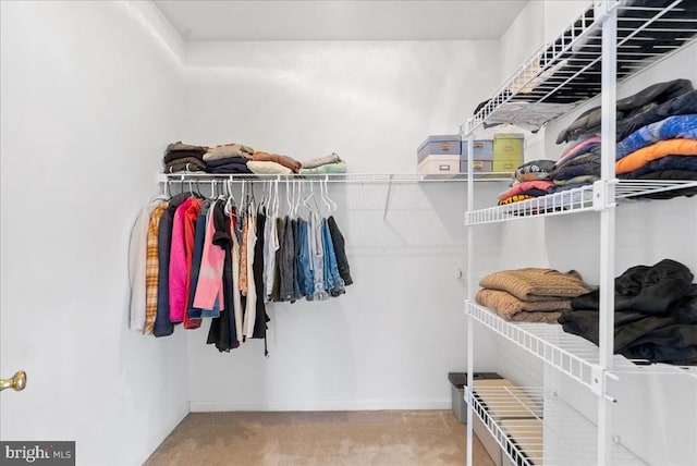 spacious closet with carpet