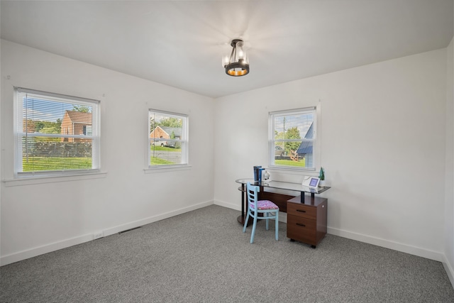 carpeted home office featuring a healthy amount of sunlight