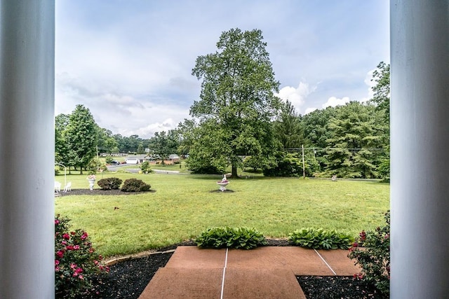 view of yard