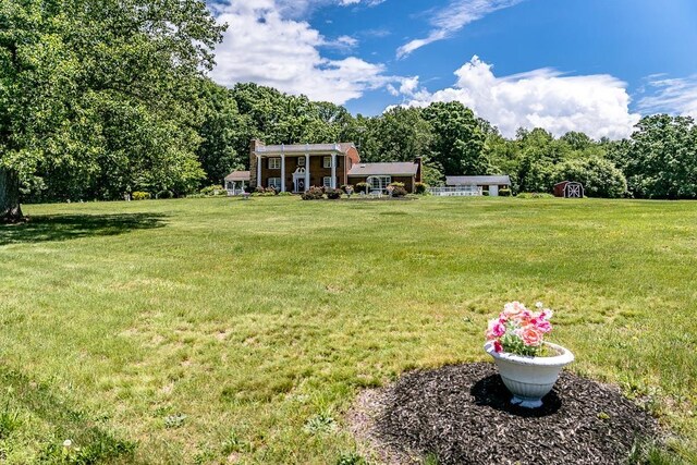 view of yard featuring a storage shed