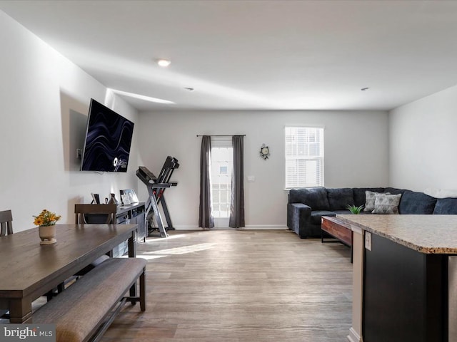 living room with hardwood / wood-style floors