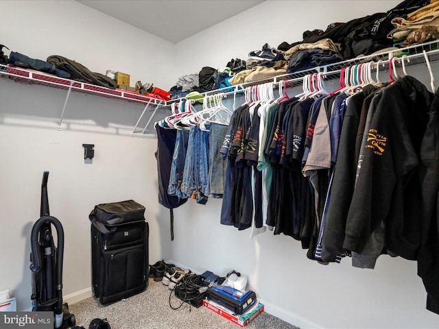 spacious closet with carpet flooring