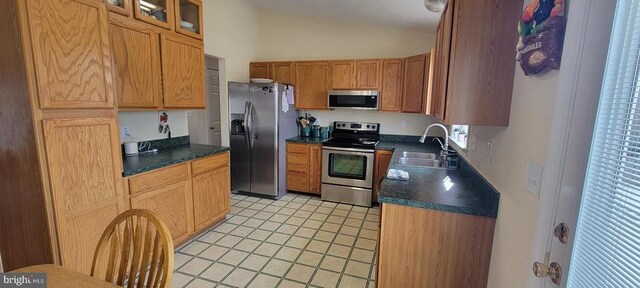 kitchen with lofted ceiling, sink, and stainless steel appliances