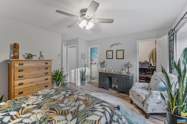 bedroom with a closet, ceiling fan, and light wood-type flooring