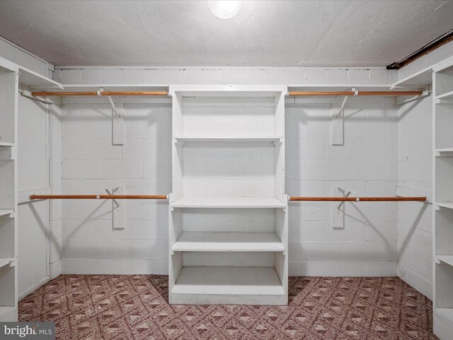 view of spacious closet