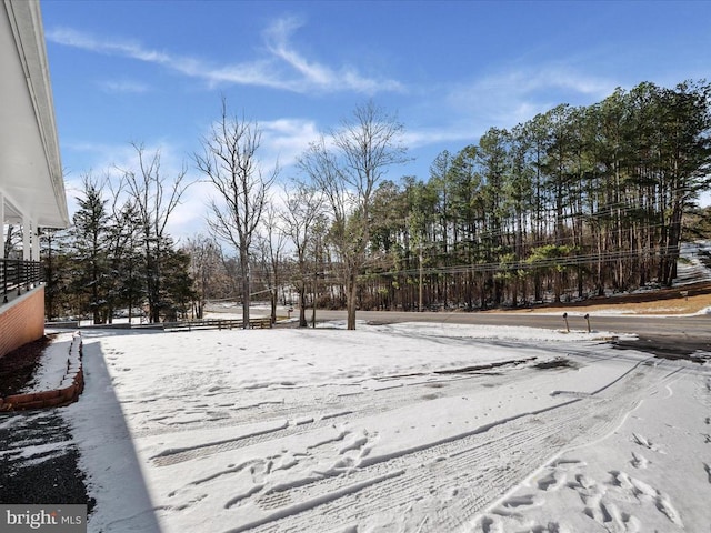 view of yard covered in snow