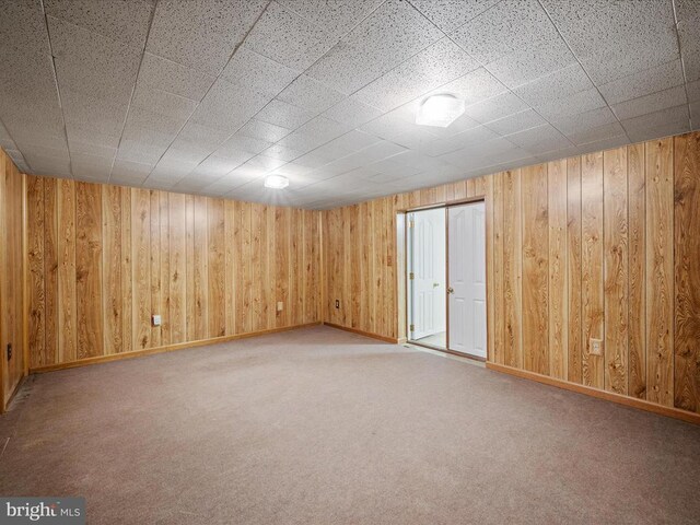 basement featuring wooden walls and carpet flooring