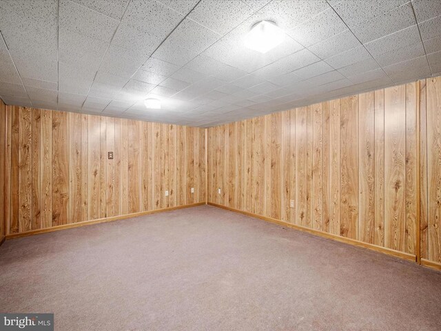 basement featuring wood walls and carpet