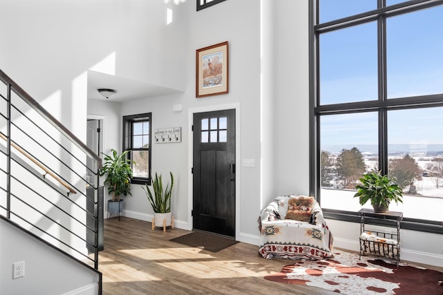 foyer featuring hardwood / wood-style floors and a high ceiling