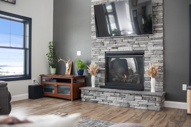 living room featuring wood-type flooring and a stone fireplace