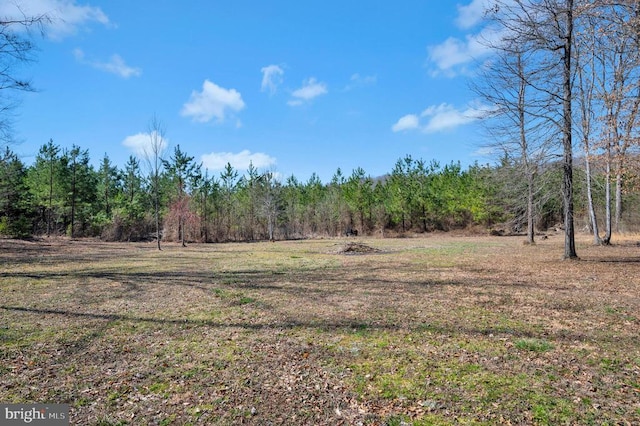 view of yard with a wooded view