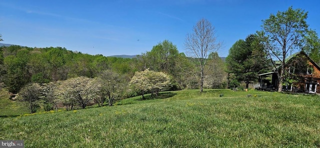 view of yard