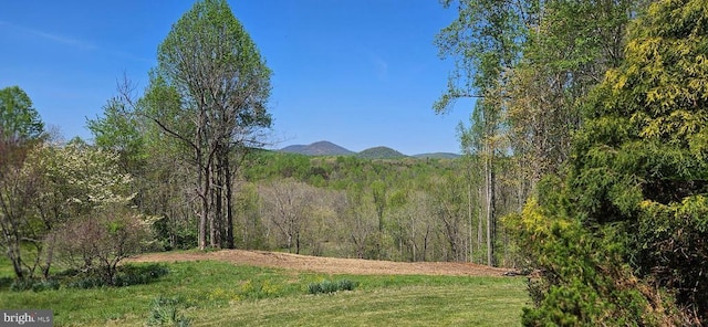 property view of mountains with a wooded view
