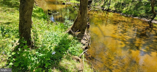 view of nature